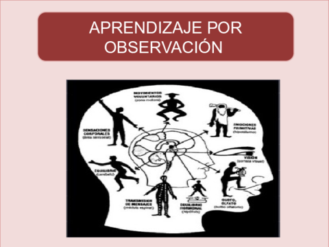 RuizPerezTrinidadPAPTarea2.pdf