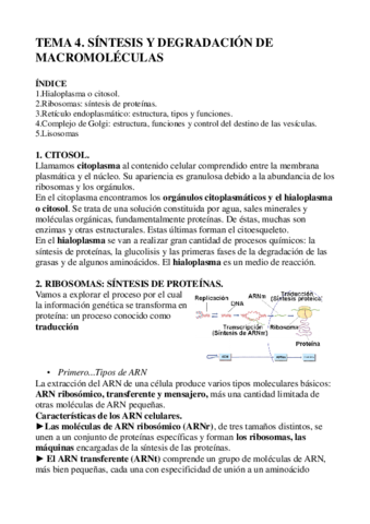 Tema-4.pdf