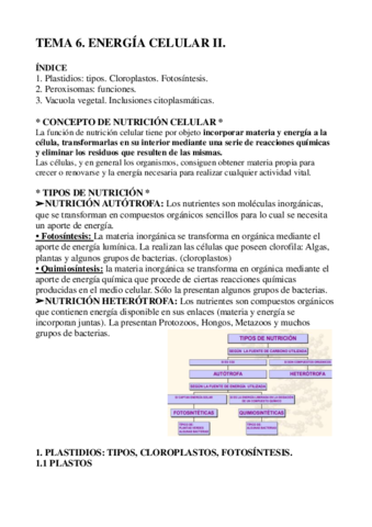 tema-6-1.pdf