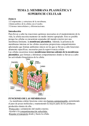 tema-2-resumen.pdf