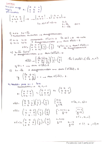 primer-examen-parcial-corregido.pdf