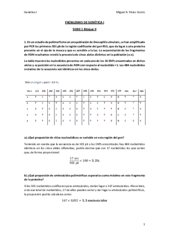 Serie 1-Bloque II RESUELTA.pdf