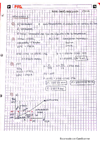 pfq-seminario-1-1.pdf