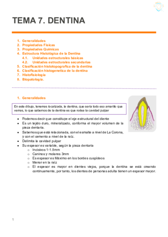 TEMA-7-DENTINA.pdf