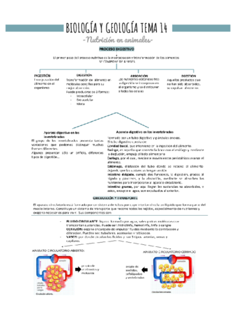 BIOLOGIA-Y-GEOLOGIA-TEMA-14-1.pdf