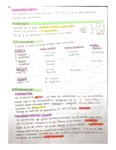 proteinas.pdf