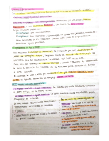 enzimas.pdf