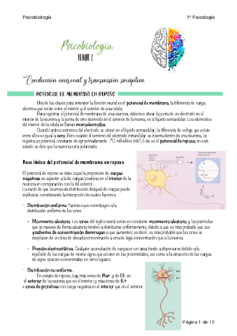 Apuntes-PBI-U2.pdf