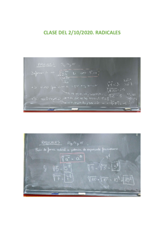 RADICALES.pdf