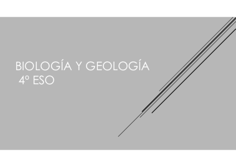 PresentacionCelula.pdf