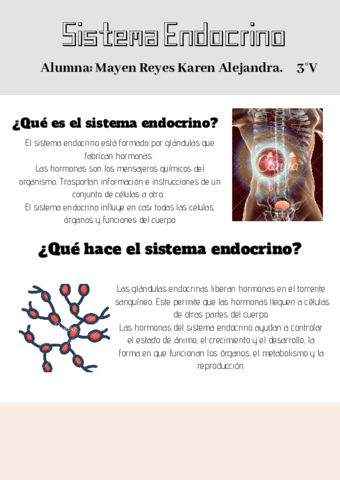 SISTEMA-ENDOCRINO-1.pdf