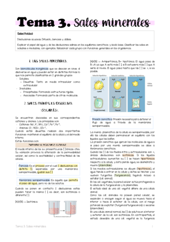 Tema-3.pdf