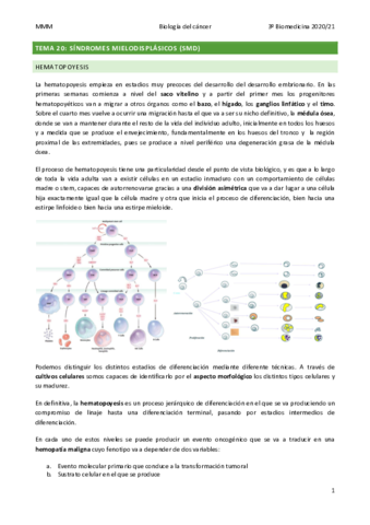 TEMA-20-Sindromes-mielodisplasicos-SMD.pdf