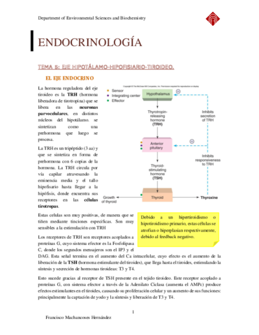 ENDOCRINOLOGIA-Tema-5.pdf