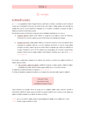 Tema-2.pdf
