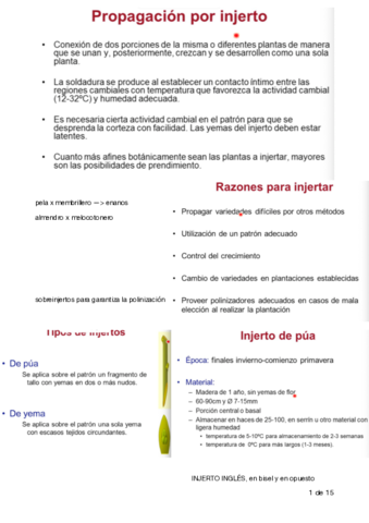 pomologiainjertos.pdf