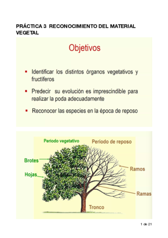 POMOLOGIAP3.pdf