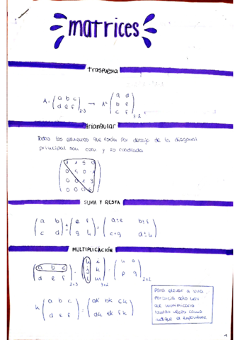 MATRICES.pdf