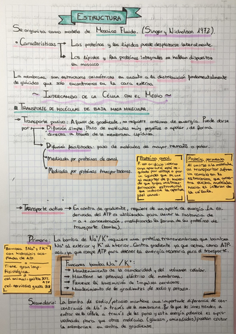 74755987-2A33-4648-B012-A5BB483834E4.jpg