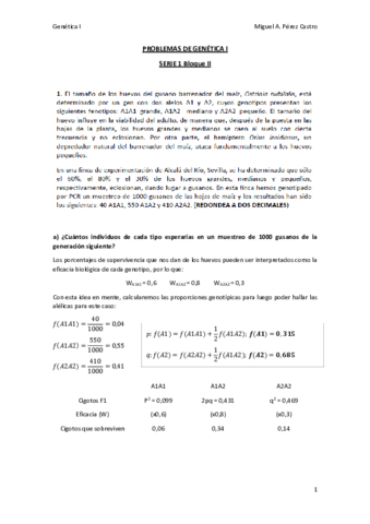Serie 2-Bloque II RESUELTA.pdf