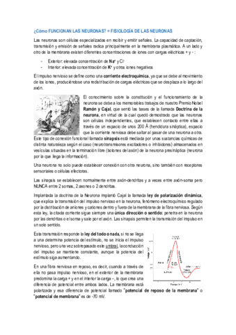 FUNCIONAMIENTO-DE-LAS-NEURONAS.pdf