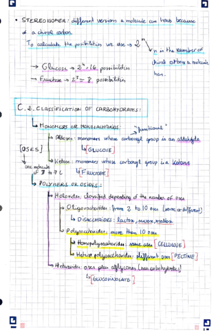Bio-molecules.pdf