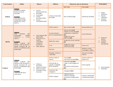 Fosas-craneales.pdf