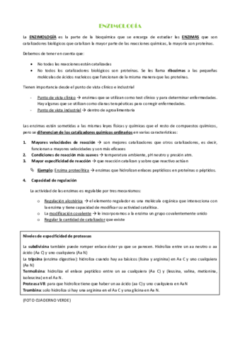 ENZIMOLOGIA-I.pdf