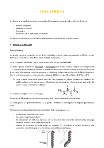 TEMA-9.pdf