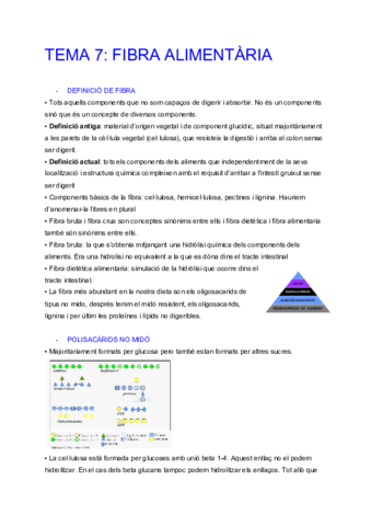 Tema-7-Fibra-alimentaria.pdf