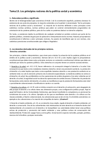 TEMA-13-Los-principios-rectores-de-la-politica-social-y-economica.pdf