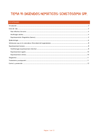 Tema-11-Digenios-hematicos-Schistosoma-spp.pdf