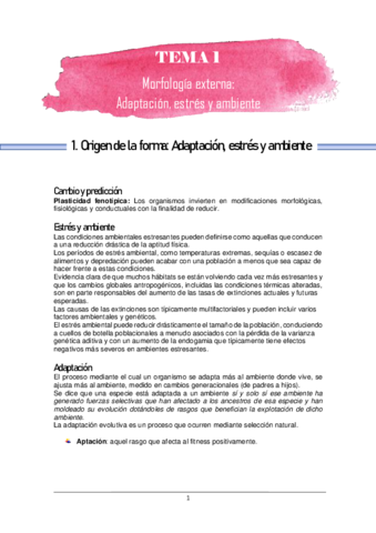 Bloque-morfologia.pdf
