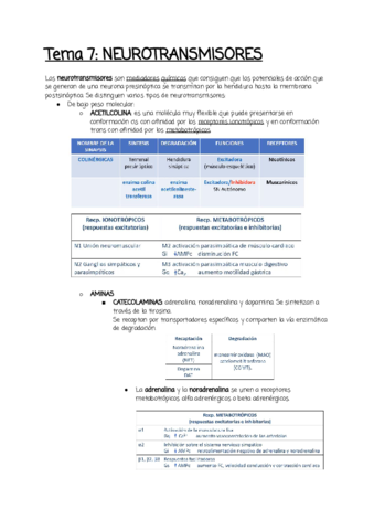 Tema-7.pdf