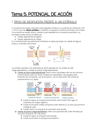 Tema-5.pdf