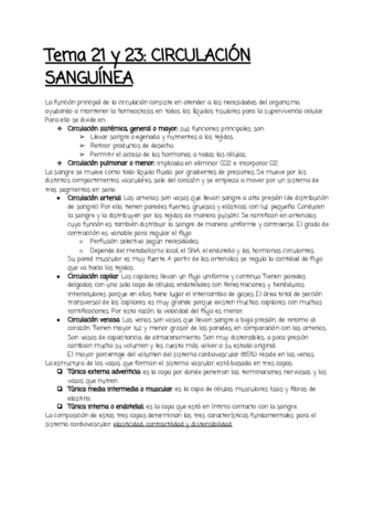 Tema-21-y-23.pdf