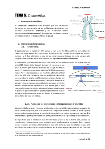 TEMA-5-GENETICA-HUMANA.pdf