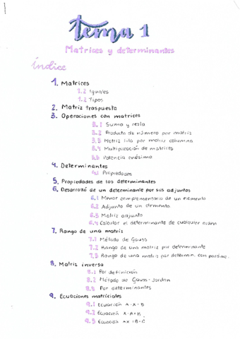 MATRICES-Y-DETERMINANTES.pdf