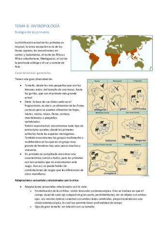 Tema-8.pdf