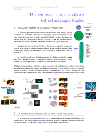 MICRO-03-Membrana-citoplasmatica-y-estructuras-superficiales.pdf