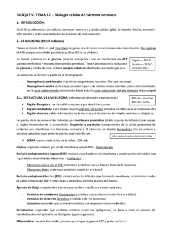 TEMA-12-BLOQUE-V.pdf