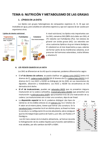 tema-6-metabolismo-de-las-grasas.pdf