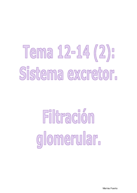 Fisio T12-14 (2).pdf