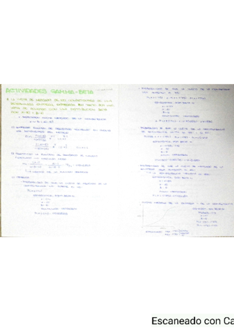 Actividad-4-gamma-beta.pdf