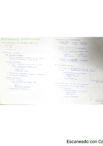 Actividad-1-Introduccion.pdf