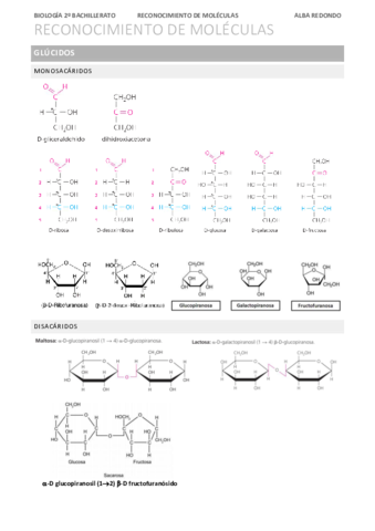 RECONOCIMIENTO-DE-MOLECULAS.pdf
