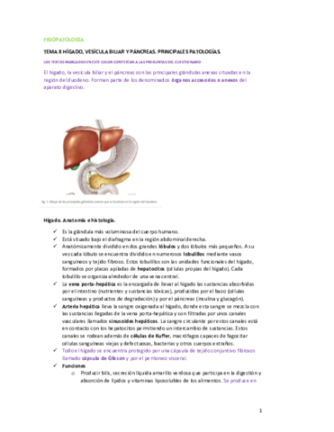 FISIOPATOLOGIA-T8.pdf