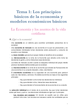 TEMA 1 ECONOMIA.pdf