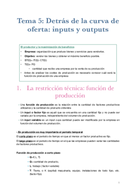 TEMA 5 ECONOMIA.pdf