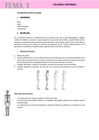 COLUMNA-VERTEBRAL.pdf